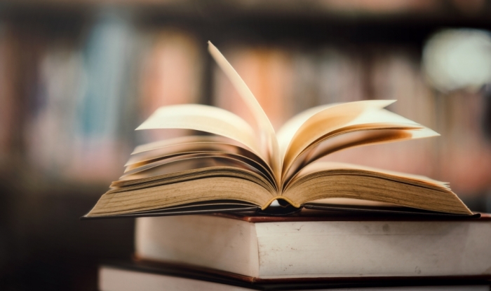 Авторский обзор  «Россия на страницах зарубежной художественной литературы» из цикла «Книжный четверг»